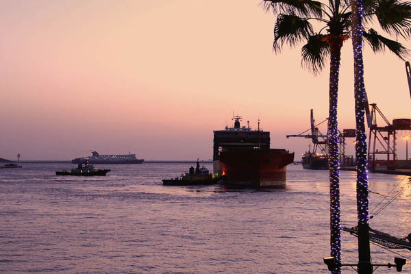 ��`�̗[���