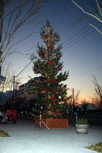 ���₱�ӂꂠ���R���T�[�g