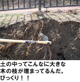 �L���i���J���̗l�q2