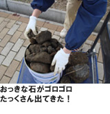 �L���i���J���̗l�q3