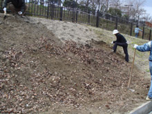 ��F�L���i���J��