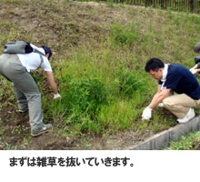 ��`�E��F�Ԃ����ς�����