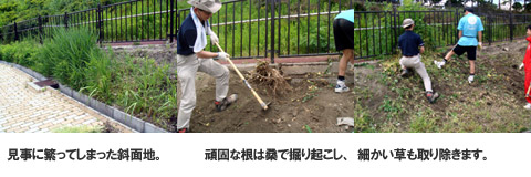 ��F�L���i���T�C�h�J���̗l�q