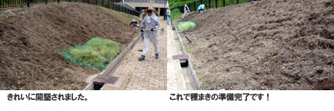 ��F�L���i���T�C�h�J���̗l�q