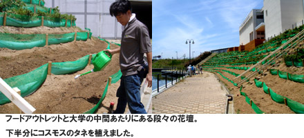 ��`�E��F�Ԃ����ς�����